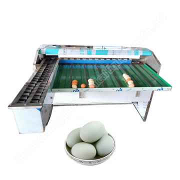 Chicken Egg Grading Machine: Egg Sorter and Separator