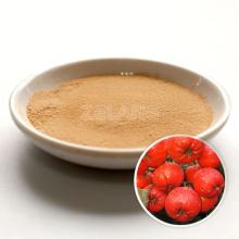 Supply nutural instant Hawthorn juice powder