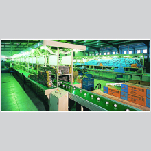 CFL Packing Line