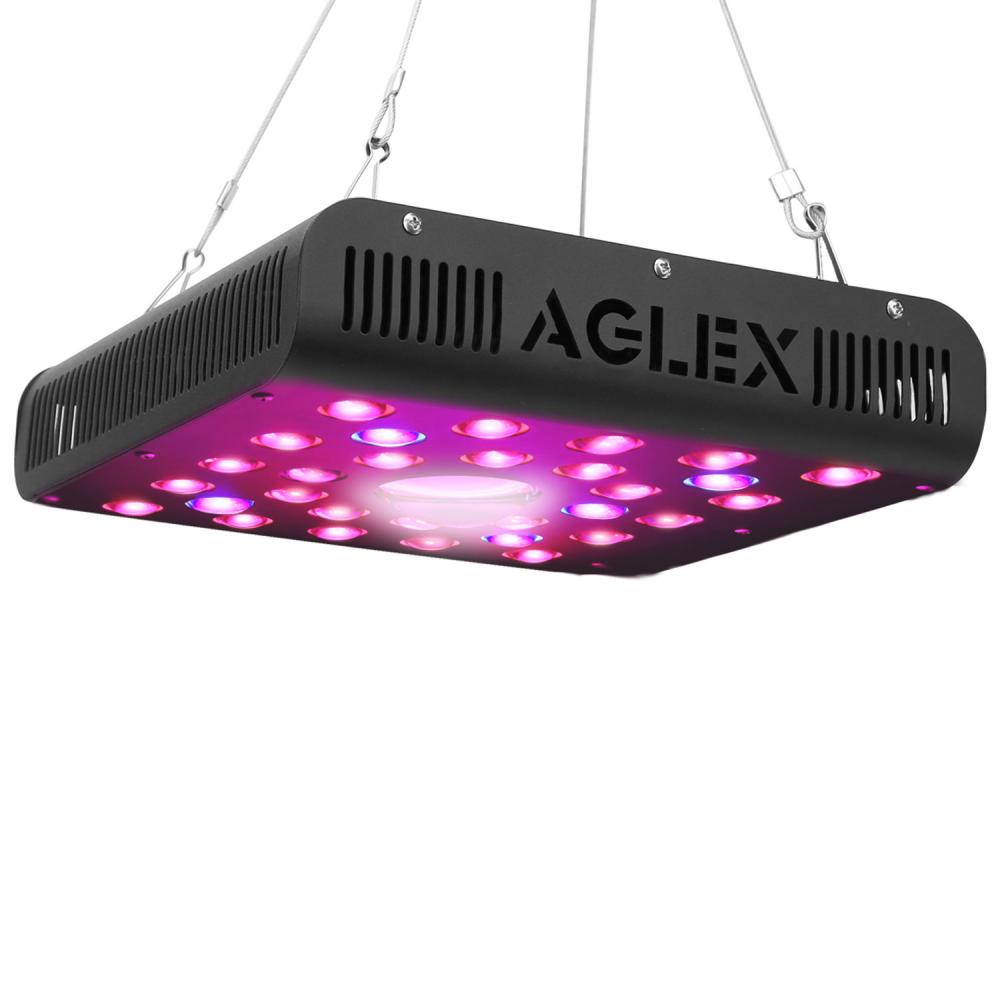 600W LED الصغيرة تنمو ضوء لاعبا اساسيا لنضارة