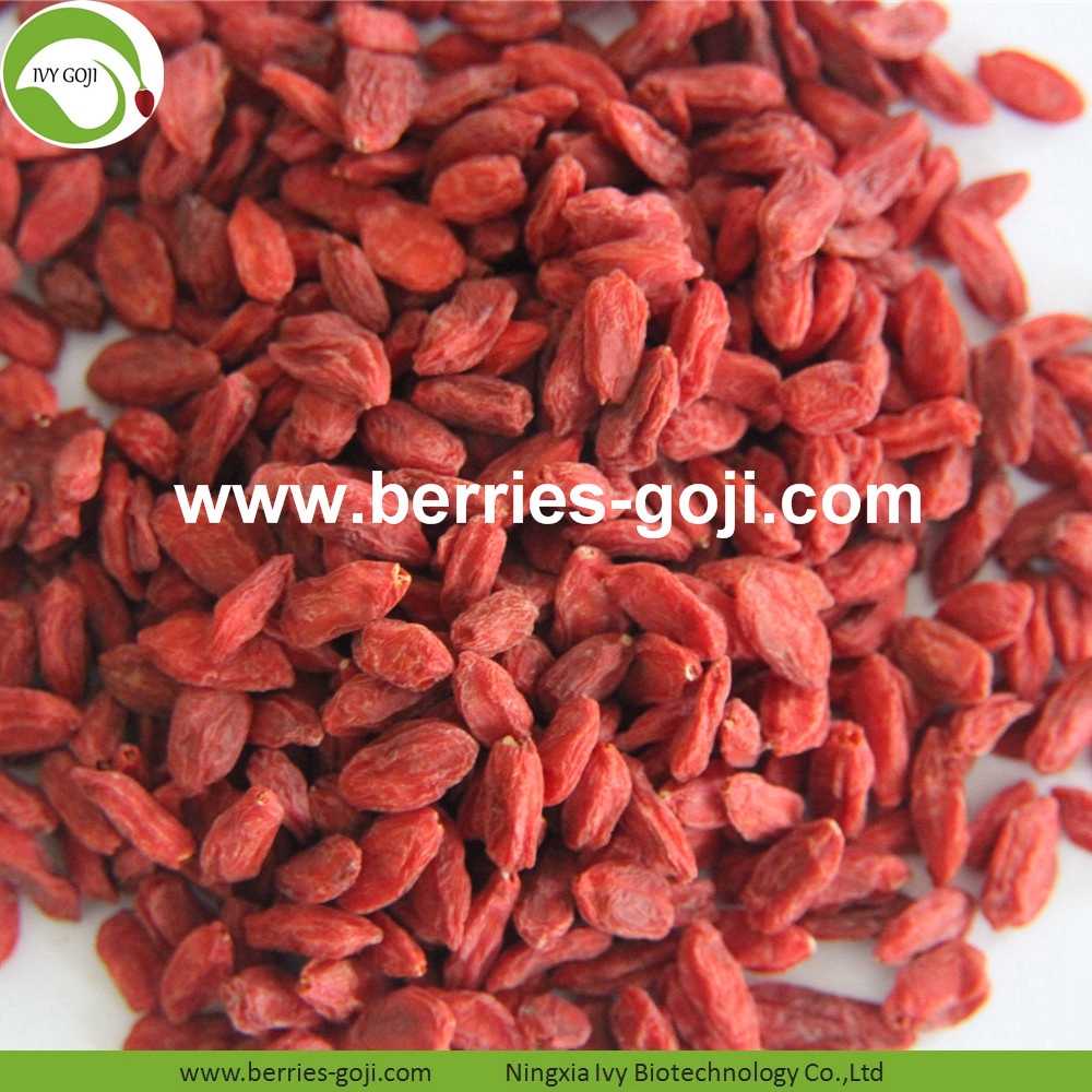 Goji-Beeren goji berry