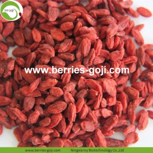 Hot Sale Nutrition Torkad Raw Organic Wolfberry