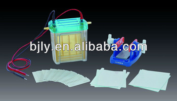 SDS-PAGE ,protein gel electrophoresis tank,electrophoresis cell,electrophoresis apparatus