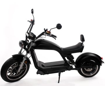 EEC COC Luqi Electric Citycoco Scooter on Sale