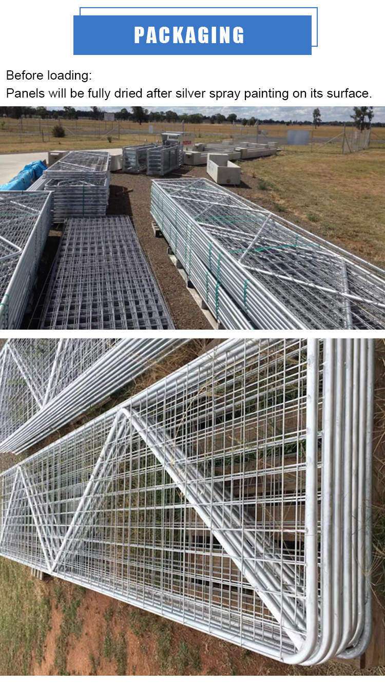 China supplier New design galvanized 6 foot farm W stay gate