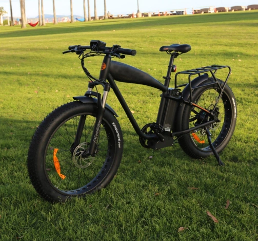 Wholesle High Quality Big Power 500W Adult Electric Bicycle