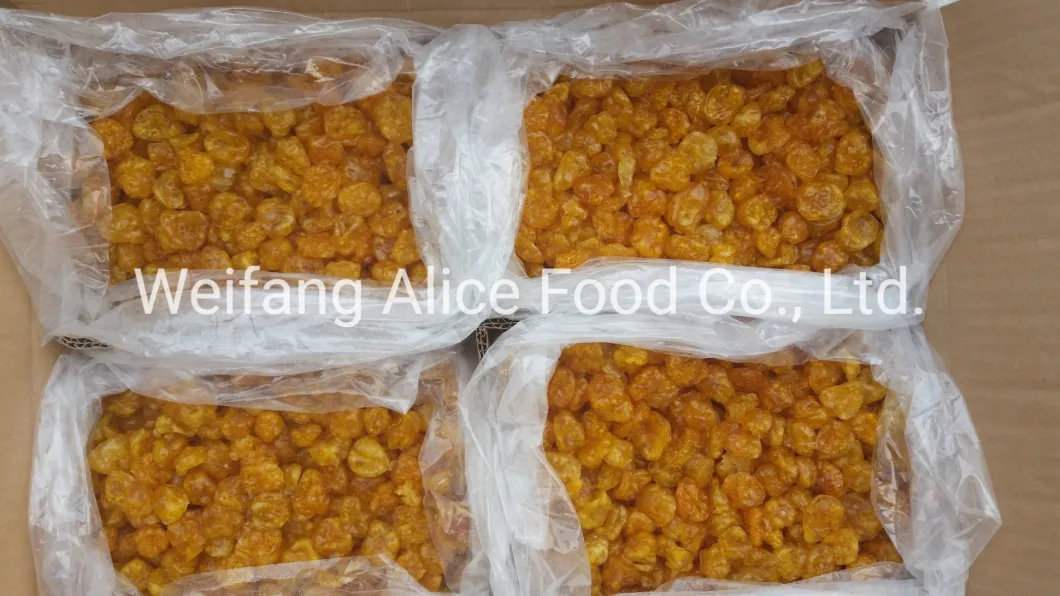 Dried Yellow Color with High Quality Dried Golden Berry