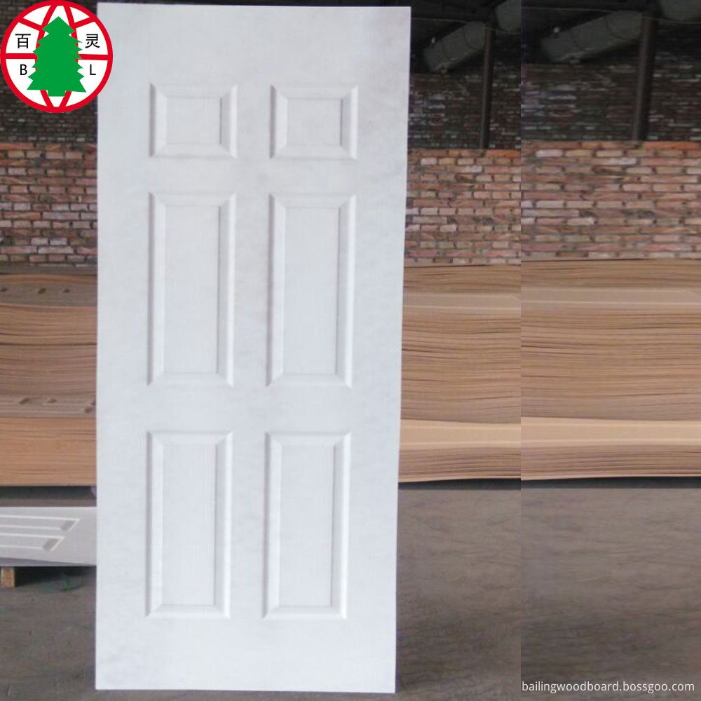 Door Skin 5 Door Skin 5