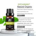 Wholesale Price Spearmint Essential Oil Private Label