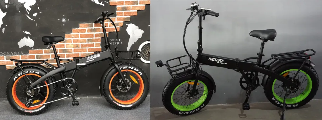 Two Wheel City Ebike Electric Bike for Adult