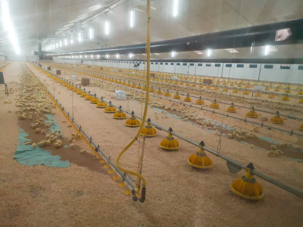 Smooth Dimming Without Flickering to 0.2% Light Dimmer for Poultry Farm