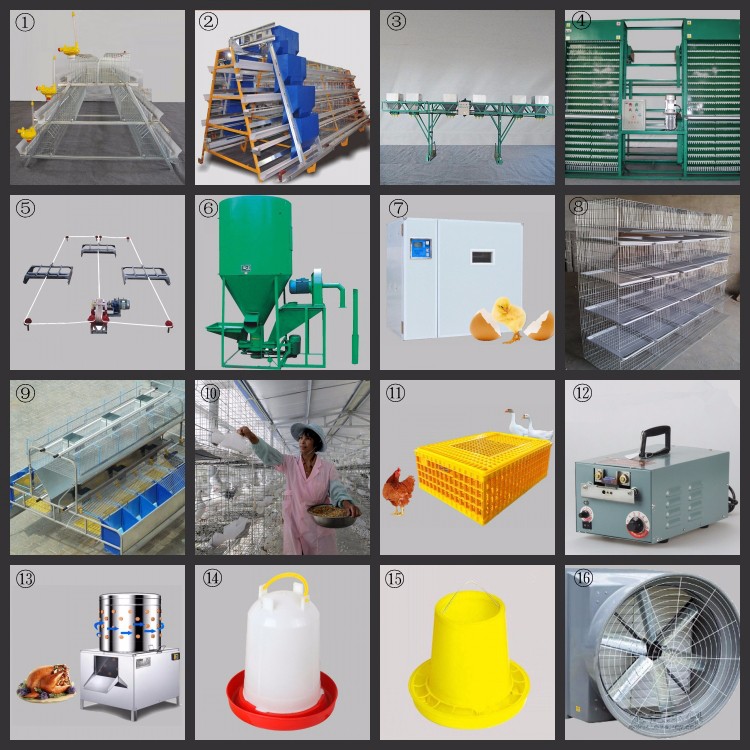 Layer Farming Equipment Accessories