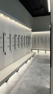 used school custom colour locker