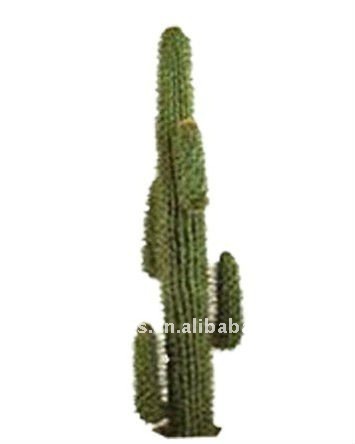 Artificial Mexico Cactus Tree