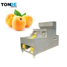 Fruit Pitting Machine: Cherry, Apricot, Apple, and Peach Core Removal