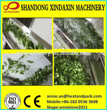 IQF vegetable washing machine