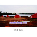 Automatic Farm Equipment in Poultry House with Economic Design