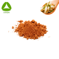 Serviço de OEM natural Jasmim Green Tea Extract Powder