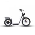 20inch 34 inch electric bike 48V 1000W