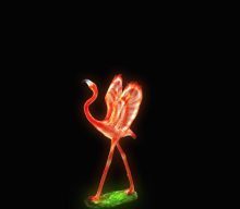 Outdoor Flamingo D Lights