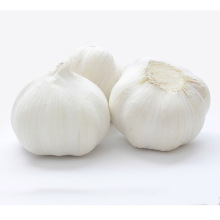 Chinese fresh garlic normal white pure white