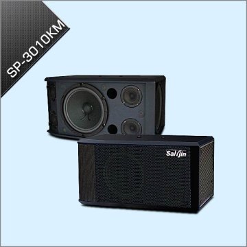 Professional Karaoke Vocal Speaker System