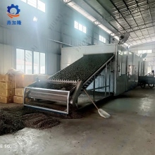 nectarine chips belt drying equipment