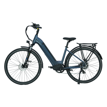 GreenPedal Special Offer: 250W 14.5Ah City E-Bike - EU Warehouse Electric Lowrider Bicycle