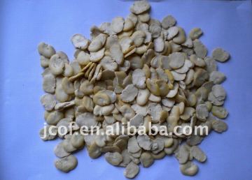 SPLIT BROAD BEANS (656)