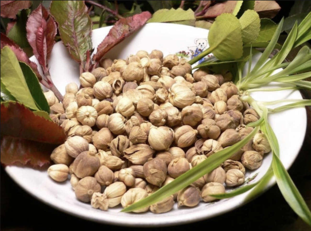Порошок экстракта травяного кардамона Herbal Cardamom Extract Powder