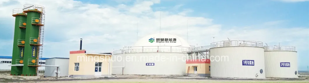Anaerobic Digester Plant for Cow Farm Waste Treatment