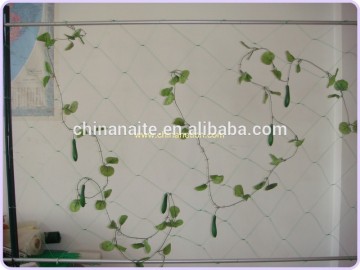 Agriculture Vegetable Trellis Netting