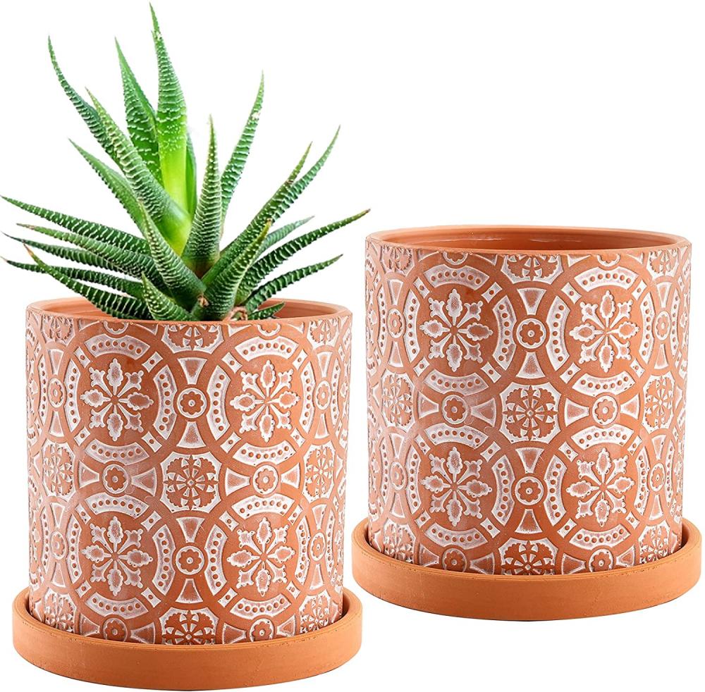 2 Pack Terracotta Plant Pot