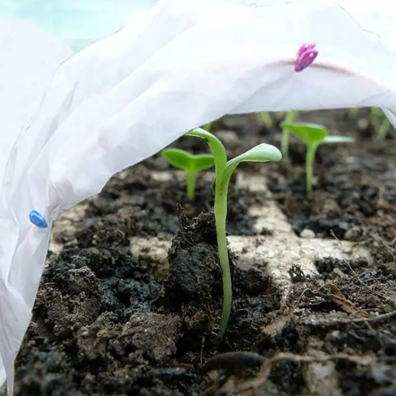 Vegetable warm non-woven floor cover