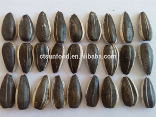 wholesale sunflower seeds sunflower seed ton price sunflower seed market price