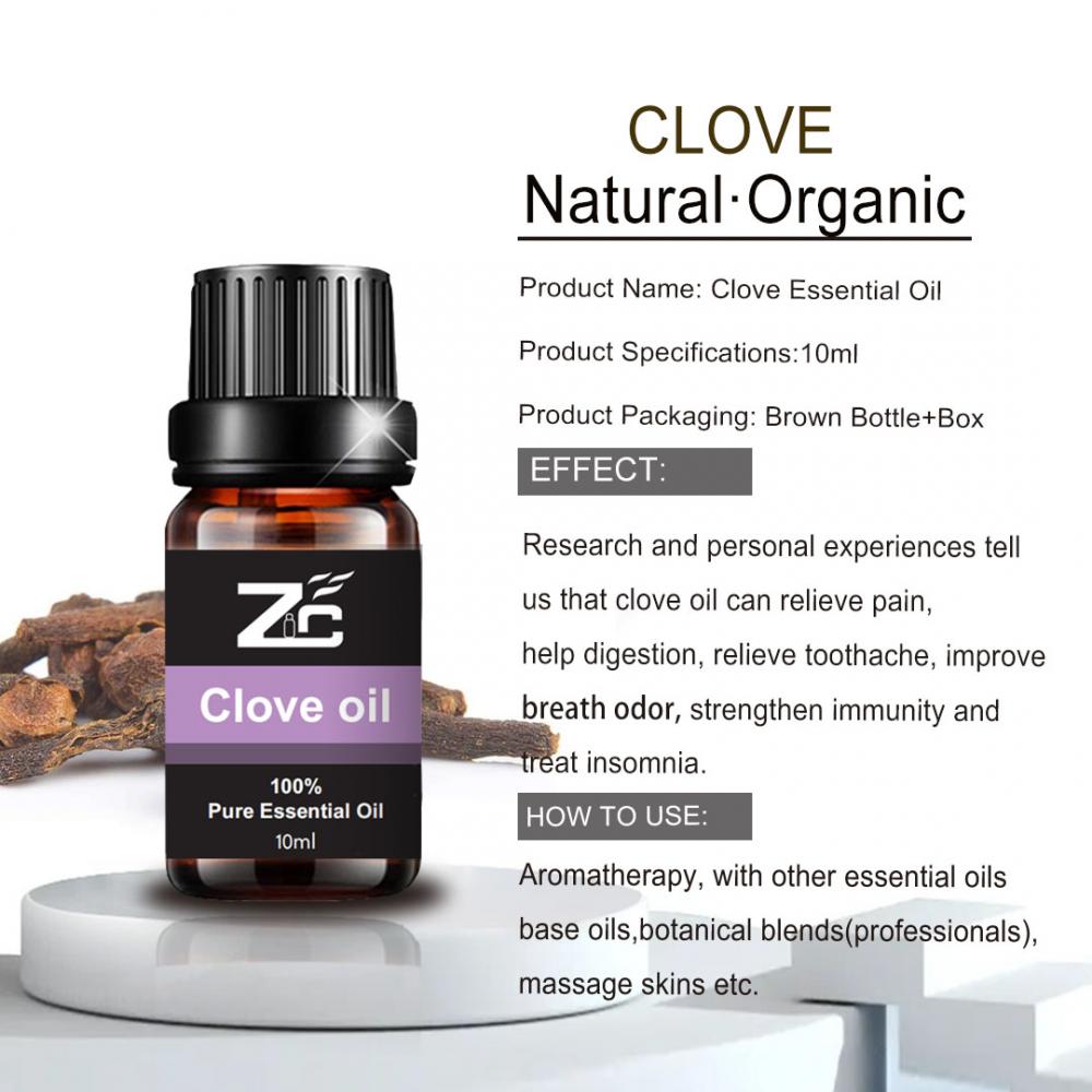 Grade Clove Oil por atacado Preço em massa 100% óleo natural puro