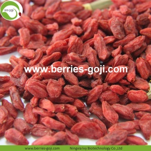 Factory Supply Hälsosam Nutrition Dry Fruit Goji