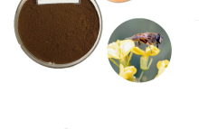 Dry Bee Propolis Extract 70% Propolis Flavone