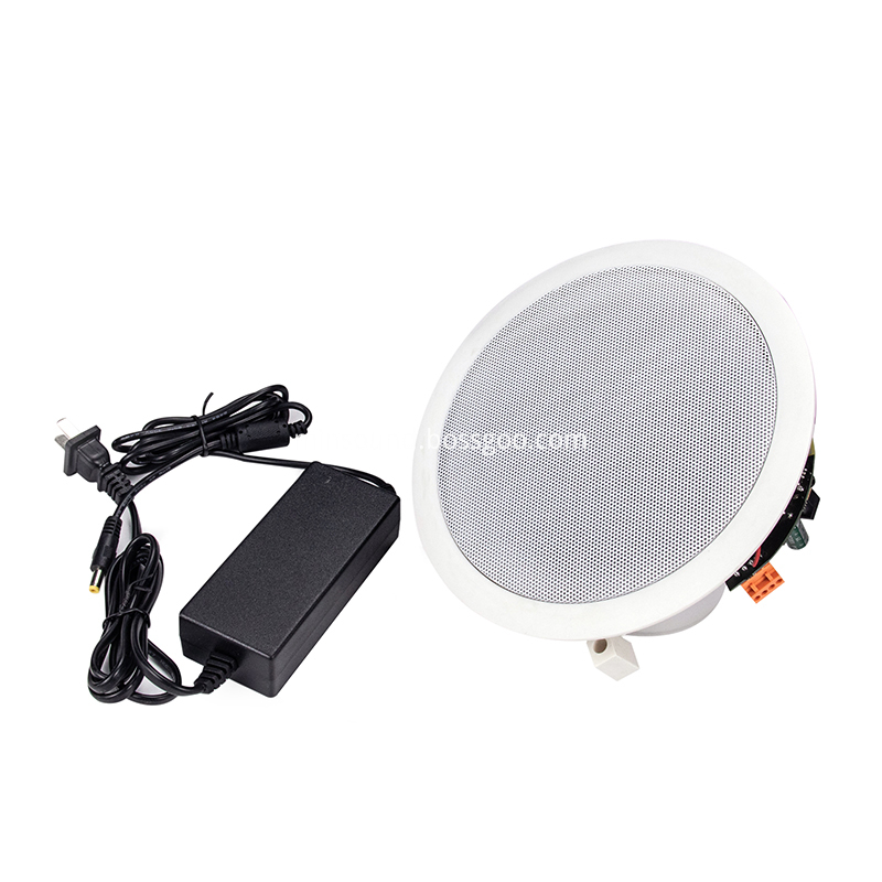 Bluetooth Ceiling Speaker