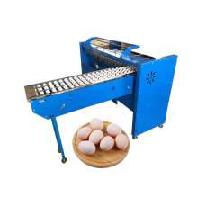 Egg Size Sorting Grading Machine