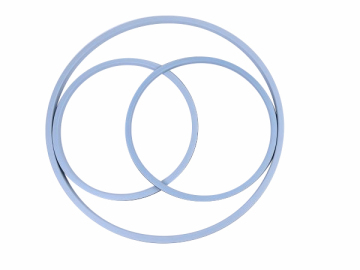 EP PTFE/EPDM Manlid Seals
