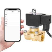 High-Quality Smart Wi-Fi Controlled NPT Connection Normally Closed Brass Solenoid Valve for Water Pipe Management