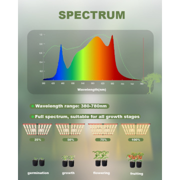 高速輸送1000WフルスペクトルLED Grow Light