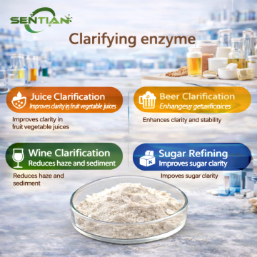 Enzyme Clarifying Shampoo for Hair Care