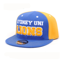 custom snap cap/new style cap/promotion hat cap