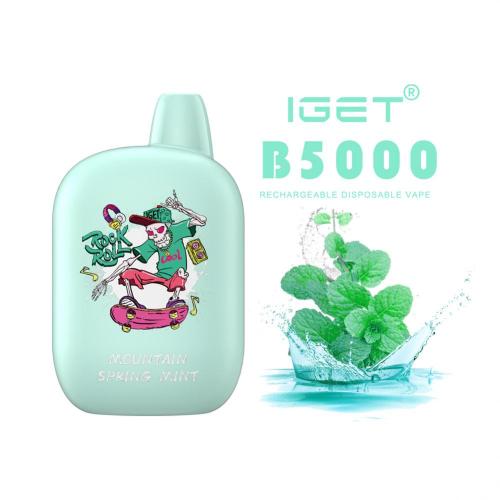 Горячий бренд iget B5000 Puff Electronic сигареты