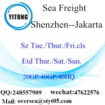 Shenzhen Port Sea Freight Shipping To Jakarta