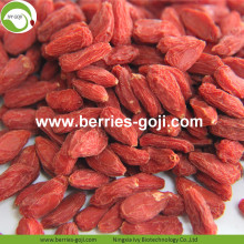 Hot Sale Super Dried Trái cây Chống tuổi Wolfberries