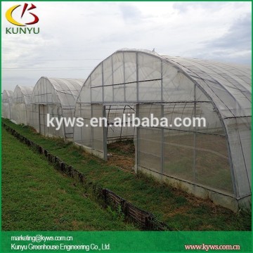 Arch roof type tunnel greenhouse greenhouse shelves hydroponic greenhouse