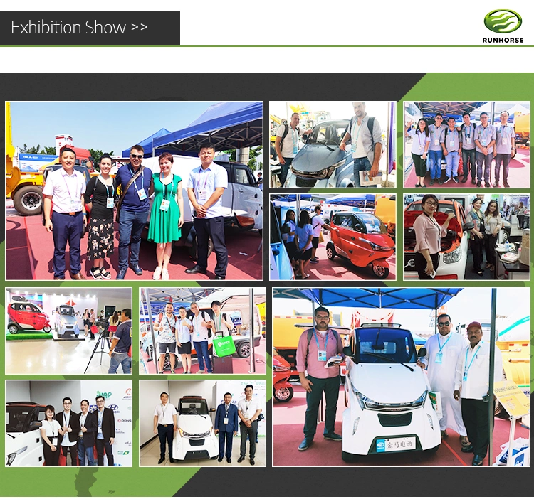 New Car New Energy Mini SUV with Air-Conditioner EEC Certificate Approved for Adults